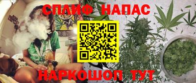 гидра Будённовск
