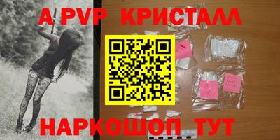 гидра Будённовск