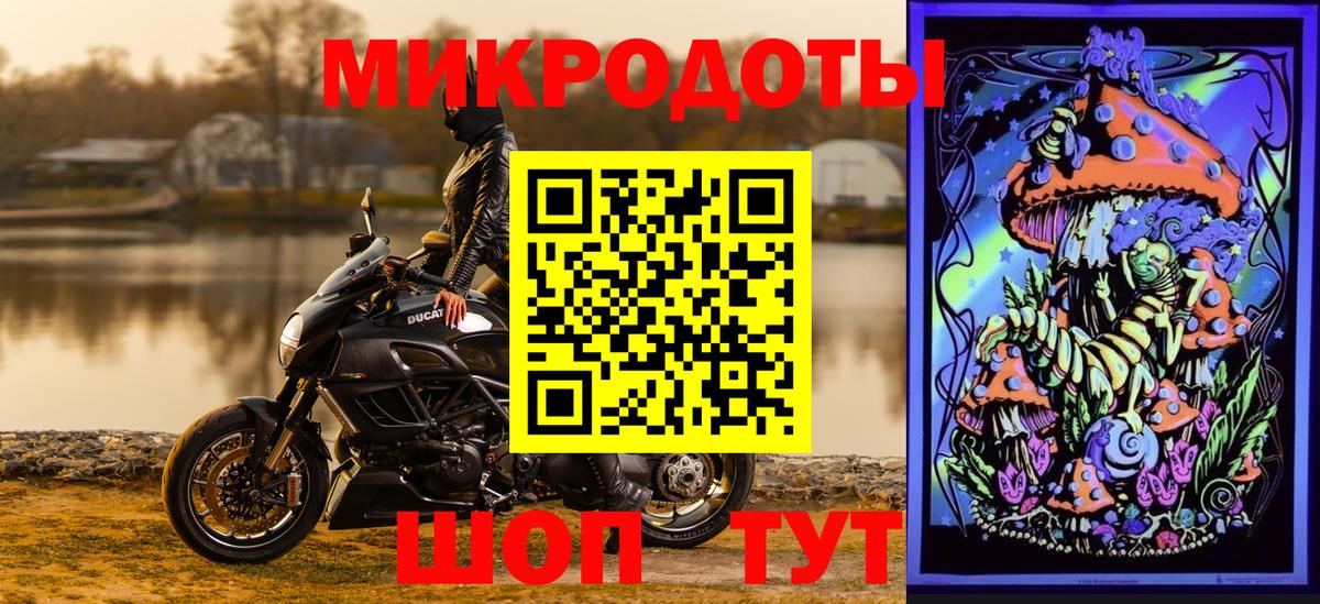 Пугачёв  Галлюциногенные грибы мицелий  Вход с VPN  Галлюциногенные грибы прущие грибы 
