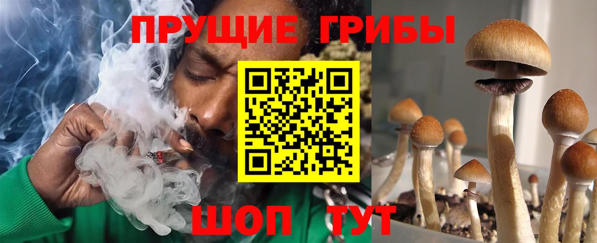 Галлюциногенные грибы Cubensis Пугачёв